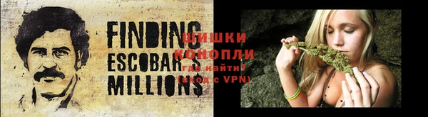 apvp Верея
