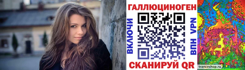 Купить где  Шумерля  Псилоцибиновые грибы Psilocybine cubensis 
